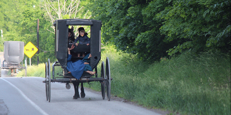 Carroção Amish levando crianças